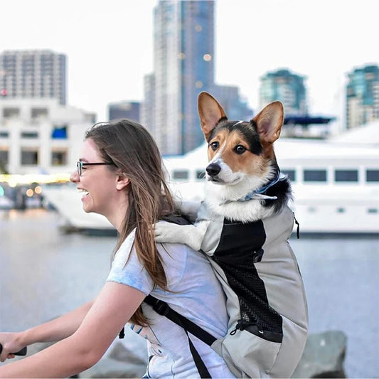 Strong Nylon Dog Carrier Backpack for Small Medium Dogs High Quality Breathable Cycling Backpack for Outdoor Travel Pet Supplies